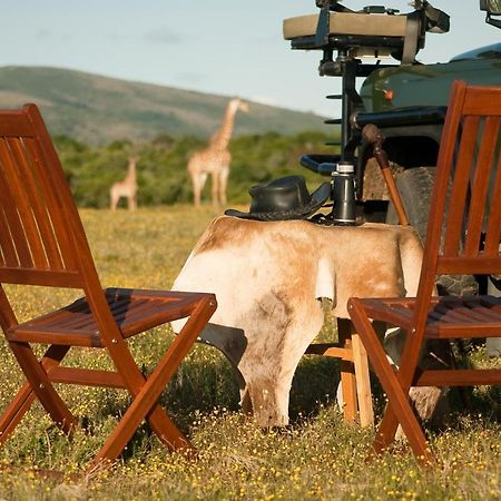 Temba Private Game Reserve Grahamstown Eksteriør bilde